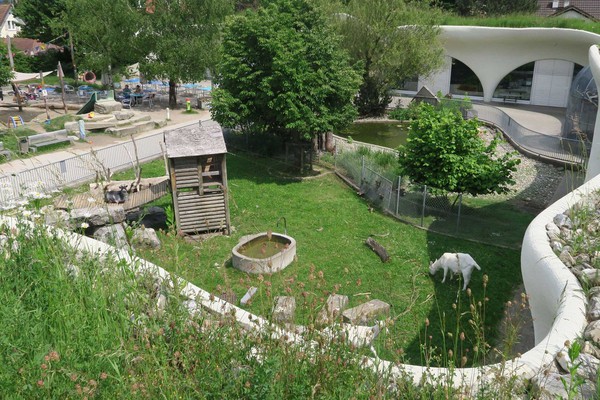 Freizeitanlage Chrüzacher, Dietikon