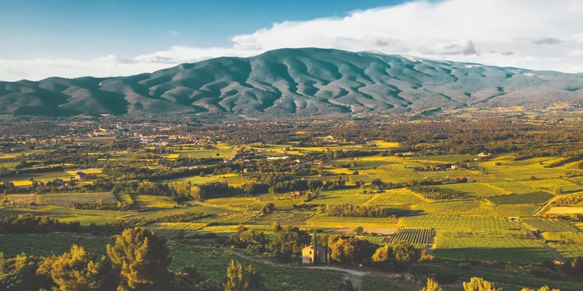 Titelbild des Events: Degustation «Gereifte Rhône-Legenden», Spreitenbach