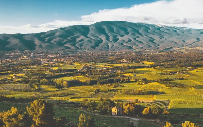 Degustation «Gereifte Rhône-Legenden», Spreitenbach