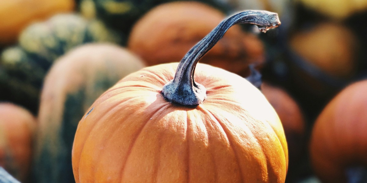 Titelbild des Events: Kürbisfest, Aesch