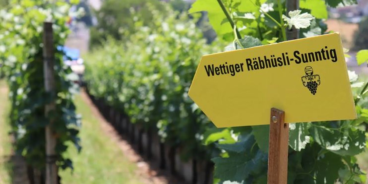 Titelbild des Events: «Räbhüsli-Sunntig», Wettingen