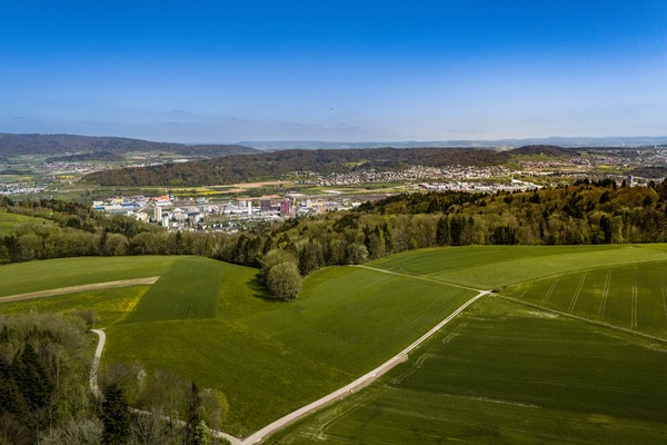 Wald und Mensch  rücken zusammen