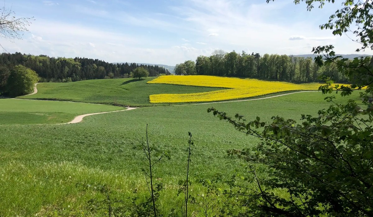 Titelbild des Artikel: Zu Fuss unterwegs