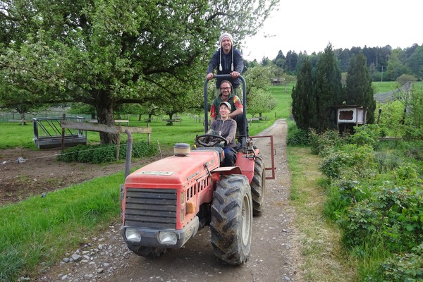 Biohof Fondli, Dietikon