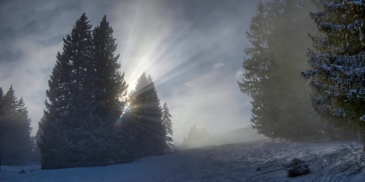 Titelbild des Events: «Im Dialog der Stille - Malerei und Fotografie im Einklang», Bergdietikon