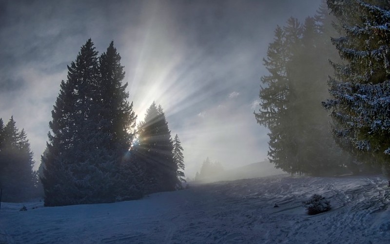 «Im Dialog der Stille - Malerei und Fotografie im Einklang», Bergdietikon