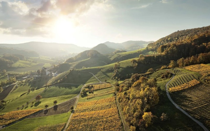 Degustation «Aargauer Weinmomente», Spreitenbach