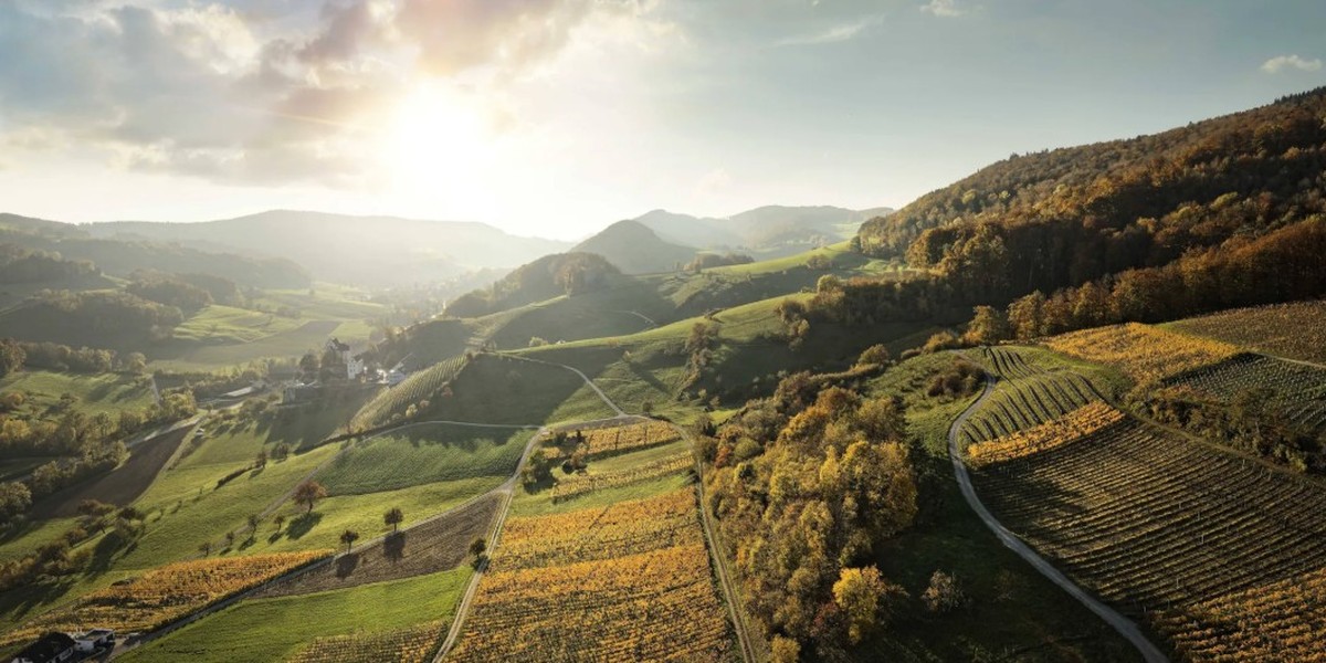 Titelbild des Events: Degustation «Aargauer Weinmomente», Spreitenbach