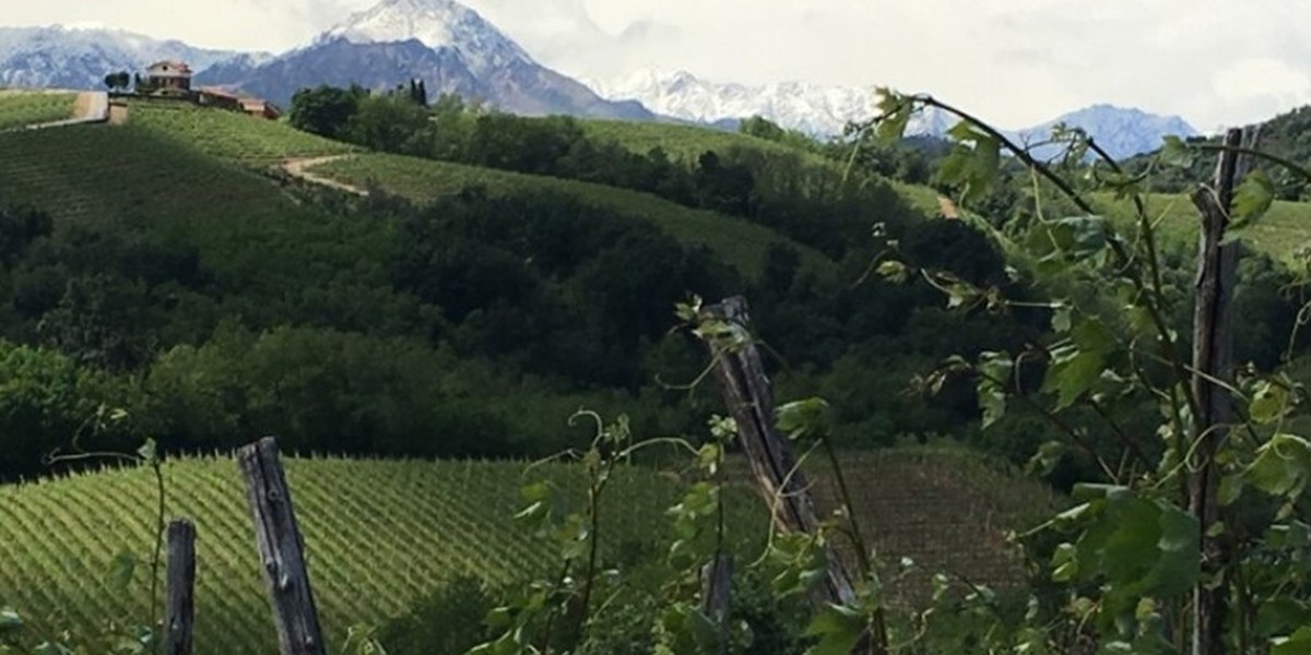 Titelbild des Events: «Weindegustation», Oetwil an der Limmat