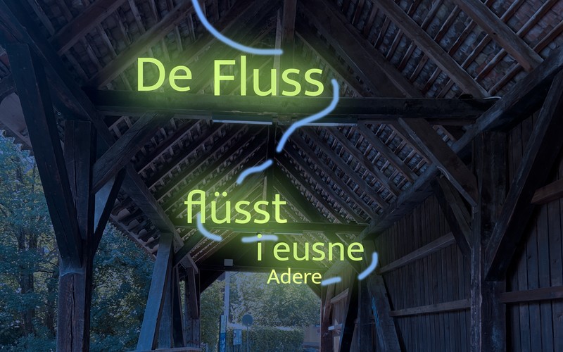 «The River Flows In Our Veins», Turgi