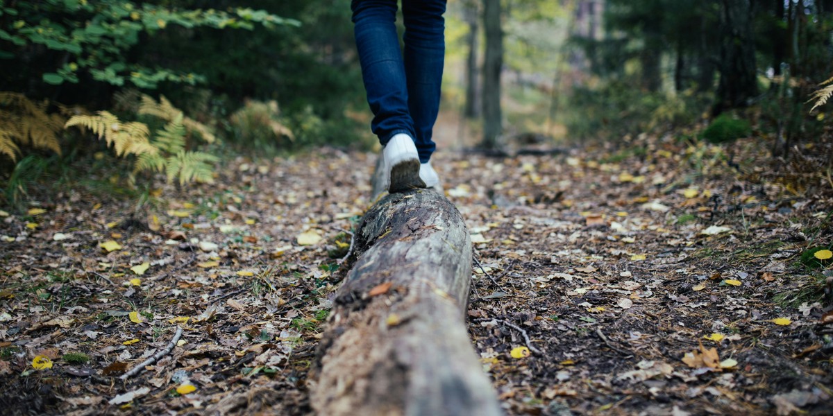 Titelbild des Events: Mentale Gesundheit im Fokus, Online-Event