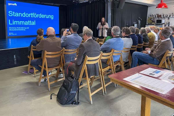 Rückblick und aktueller Stand der Neuausrichtung der regionalen Standortförderung