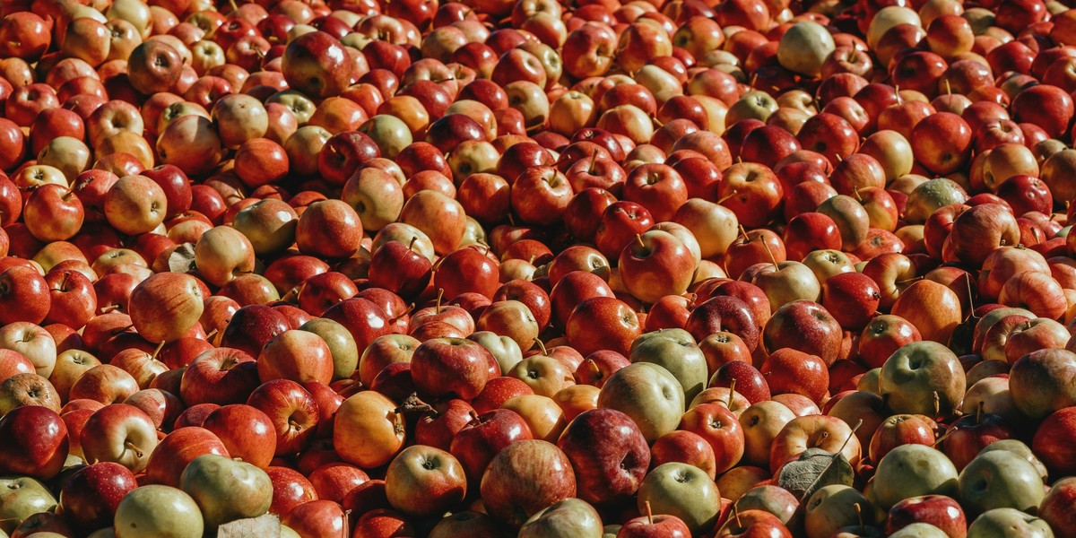 Titelbild des Events: «Moschtete», Oetwil an der Limmat