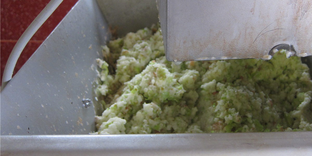 Titelbild des Events: Mosten, Dietikon