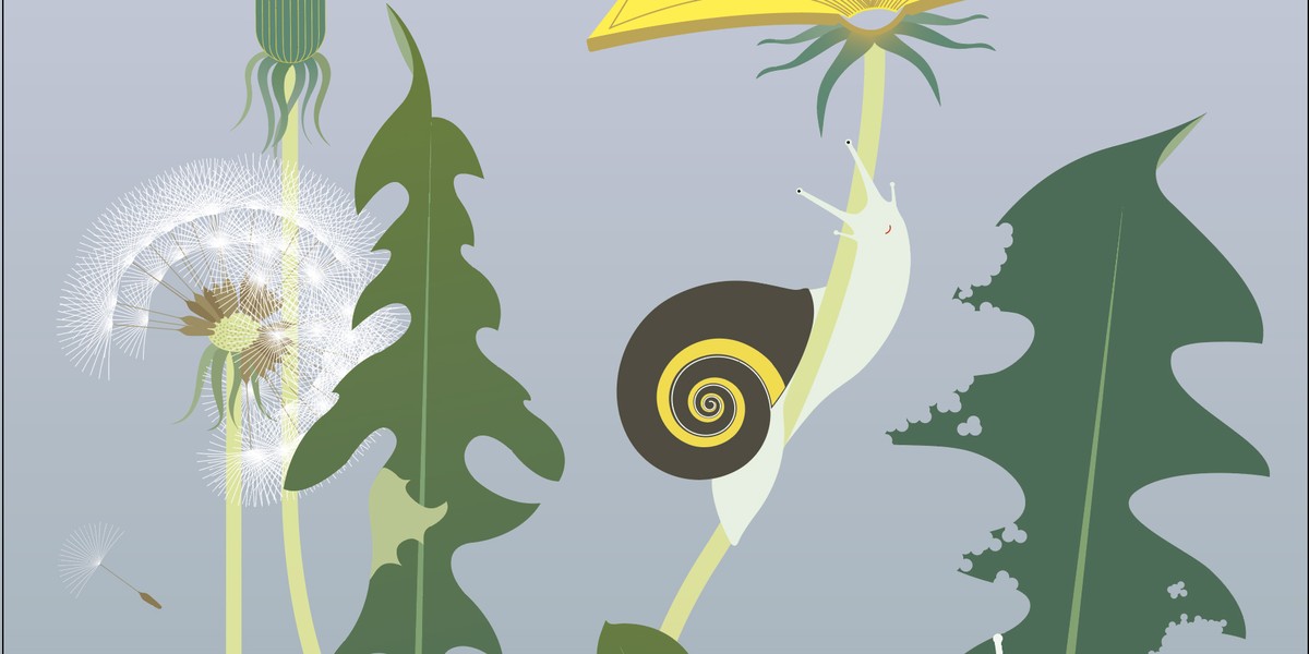 Titelbild des Events: BiblioWeekend, diverse Orte