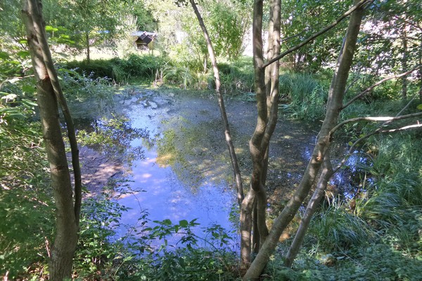 Verborgene Gewässer in der Limmatstadt