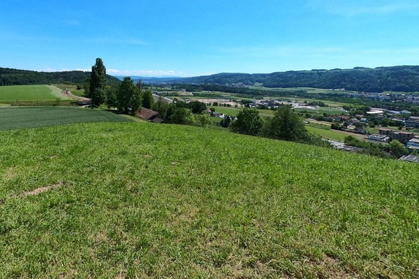 Per Mausklick vom Rüsler zum Sulperg